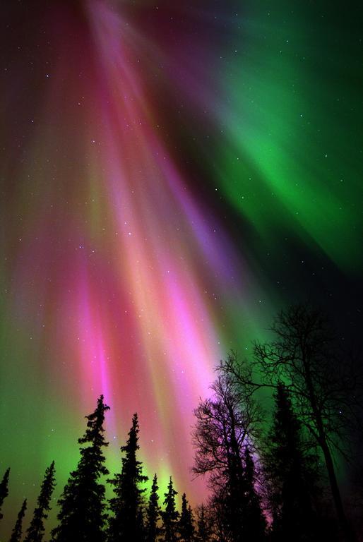 Lapland Northern Lights Hotel Ilveslinna Ranua Exteriör bild