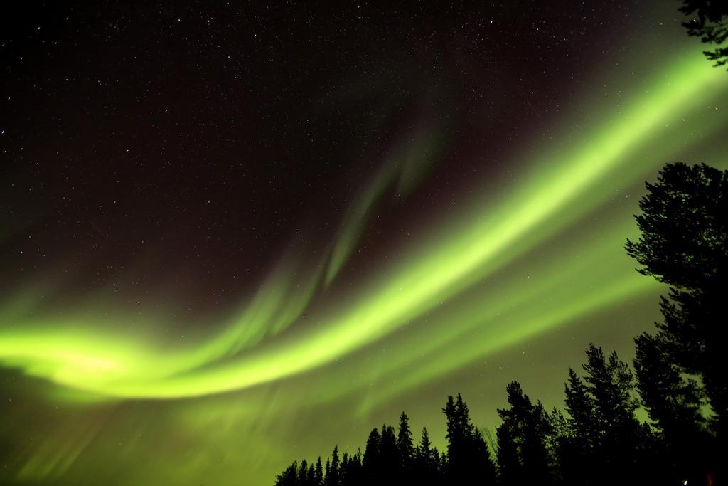 Lapland Northern Lights Hotel Ilveslinna Ranua Exteriör bild