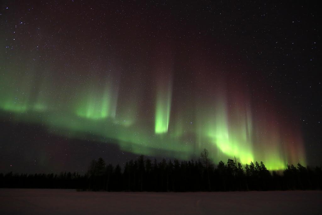 Lapland Northern Lights Hotel Ilveslinna Ranua Exteriör bild