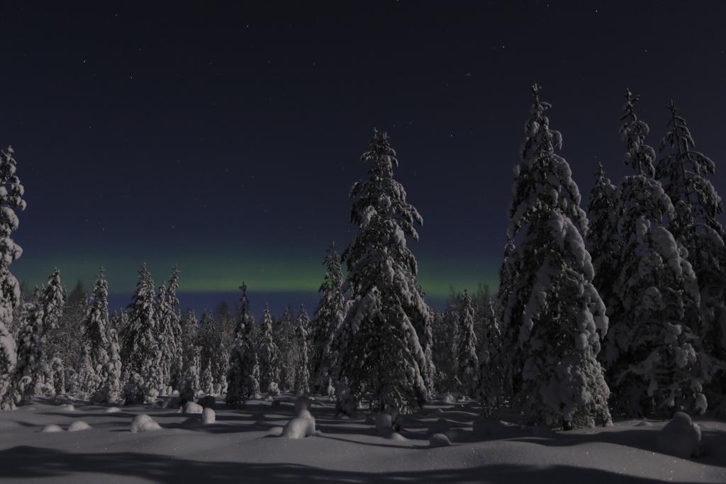 Lapland Northern Lights Hotel Ilveslinna Ranua Exteriör bild
