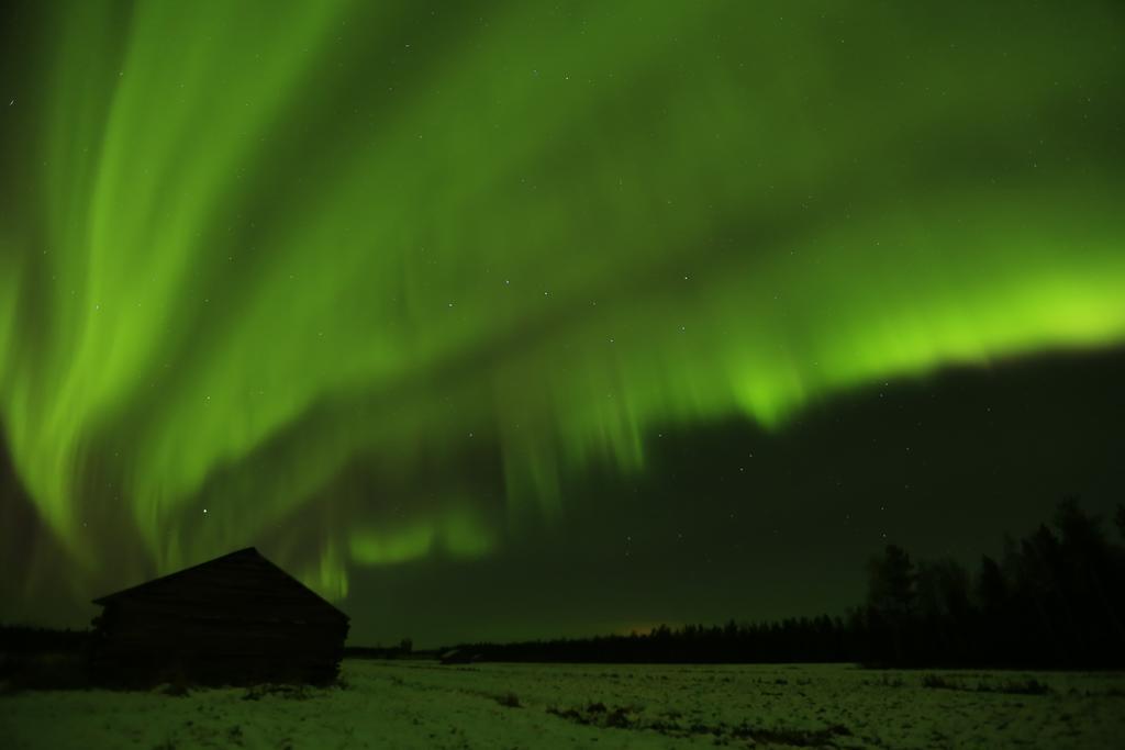 Lapland Northern Lights Hotel Ilveslinna Ranua Exteriör bild