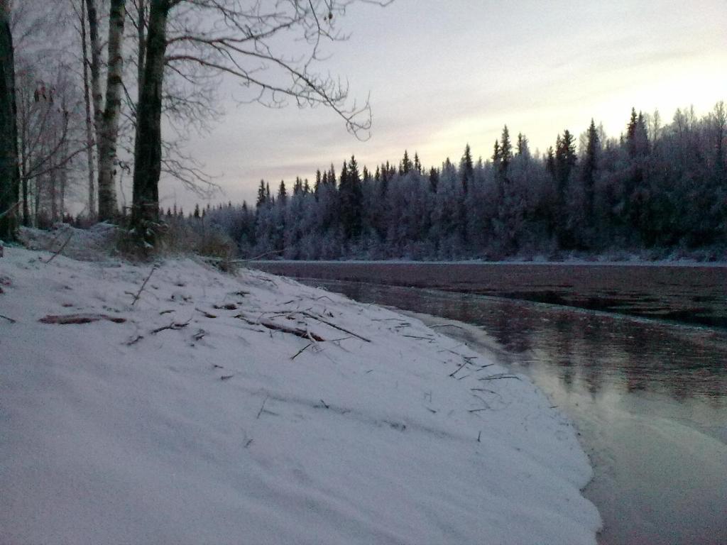 Lapland Northern Lights Hotel Ilveslinna Ranua Rum bild