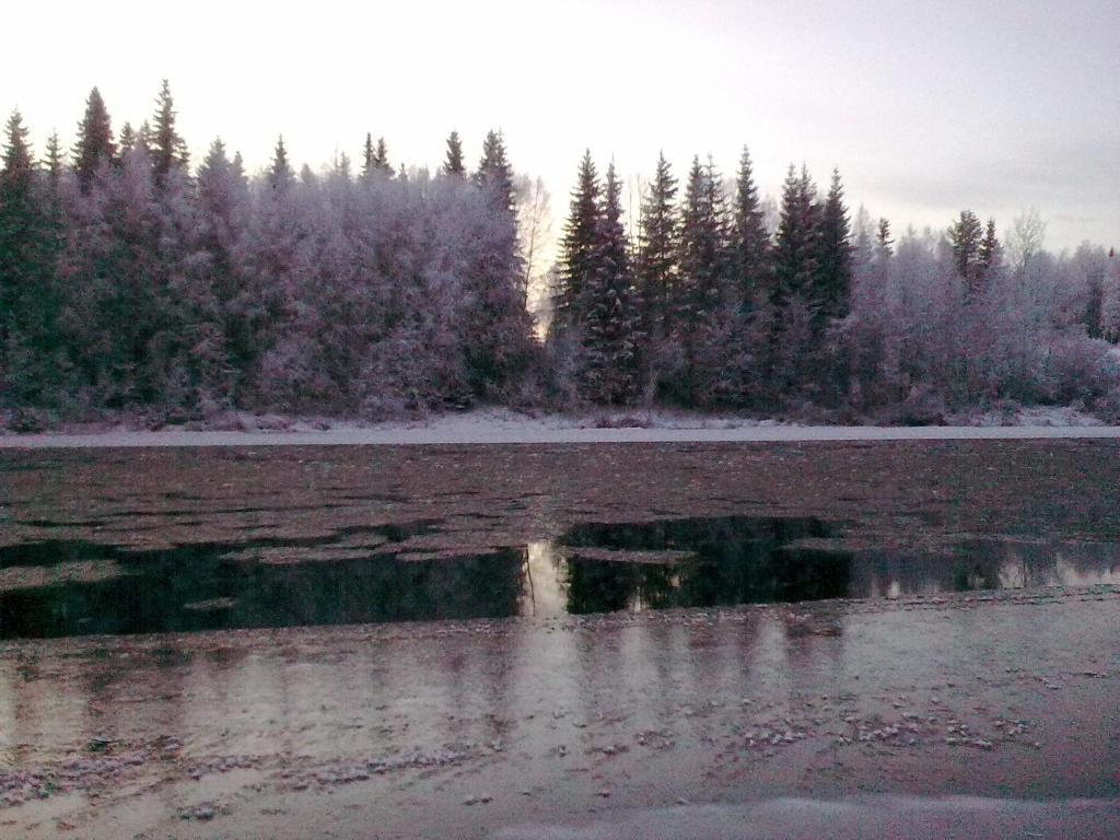 Lapland Northern Lights Hotel Ilveslinna Ranua Rum bild