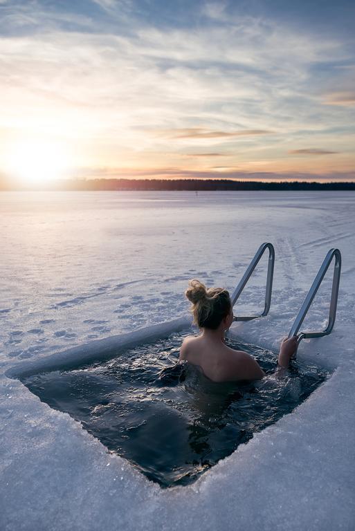 Lapland Northern Lights Hotel Ilveslinna Ranua Exteriör bild