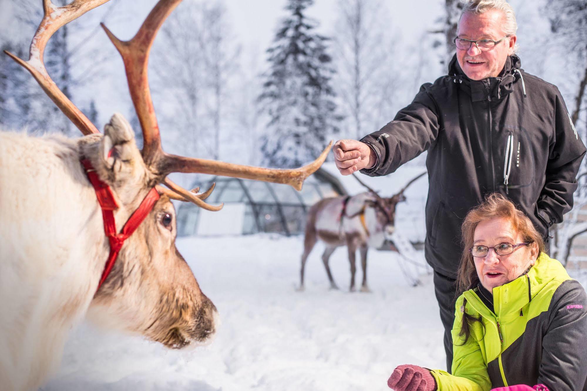 Lapland Northern Lights Hotel Ilveslinna Ranua Exteriör bild